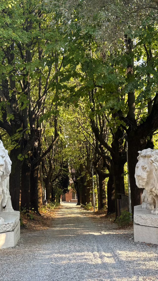 #voyage #travel #tourisme #vacances #vacation @visitbrescia #voyage #travel #tourisme #vacances #vacation @visitbrescia