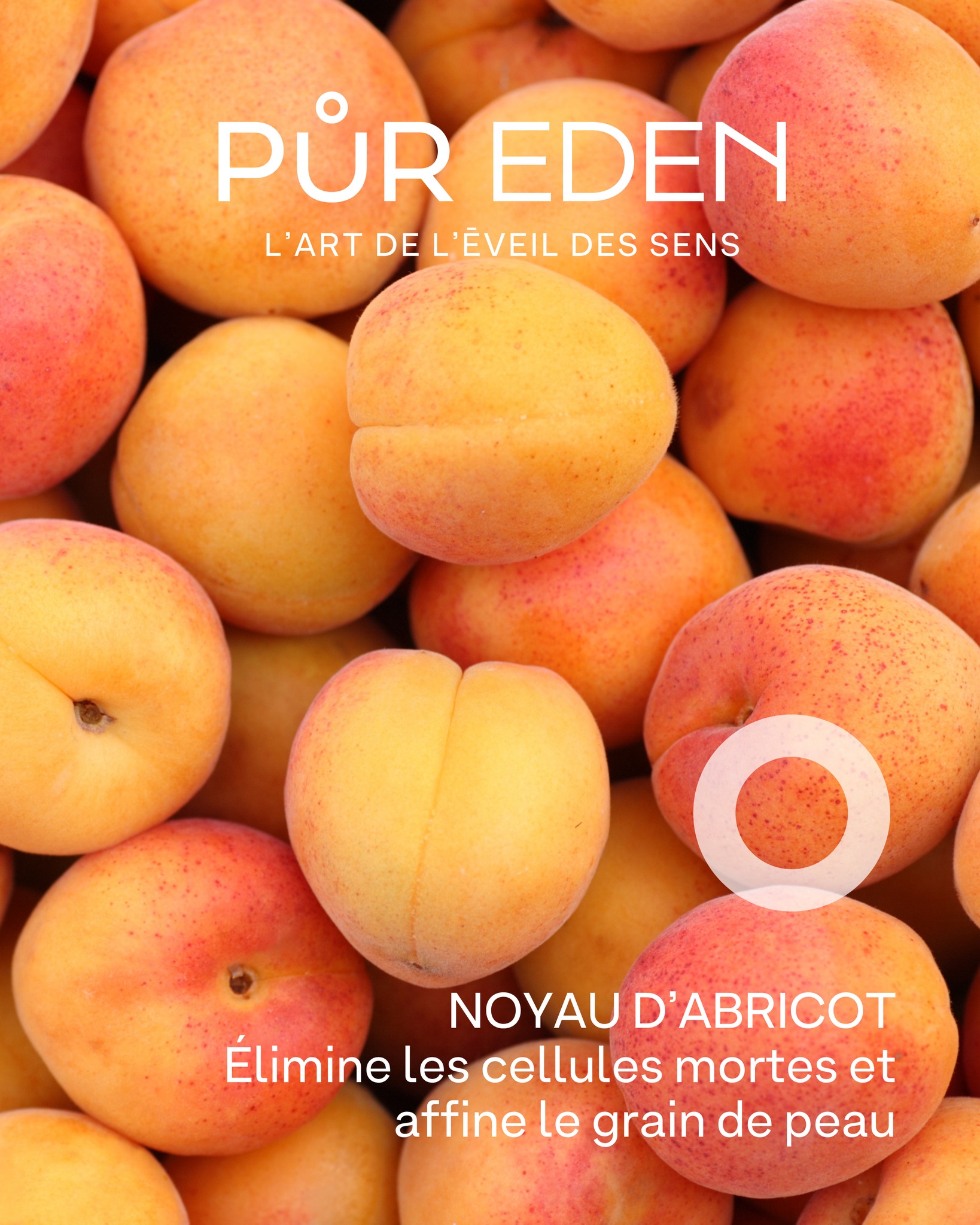 Les secrets d'un gommage corps efficace ? Ses ingrédients 🌿
Le Gommage Corps Fabuleux PUR EDEN est formulé avec soin autour de 3 actifs naturels & bio pour une peau douce, lisse et lumineuse.
🔗 Lien en bio.
#PurEden #GommageCorps #CosmétiqueNaturelle #BioBeauty