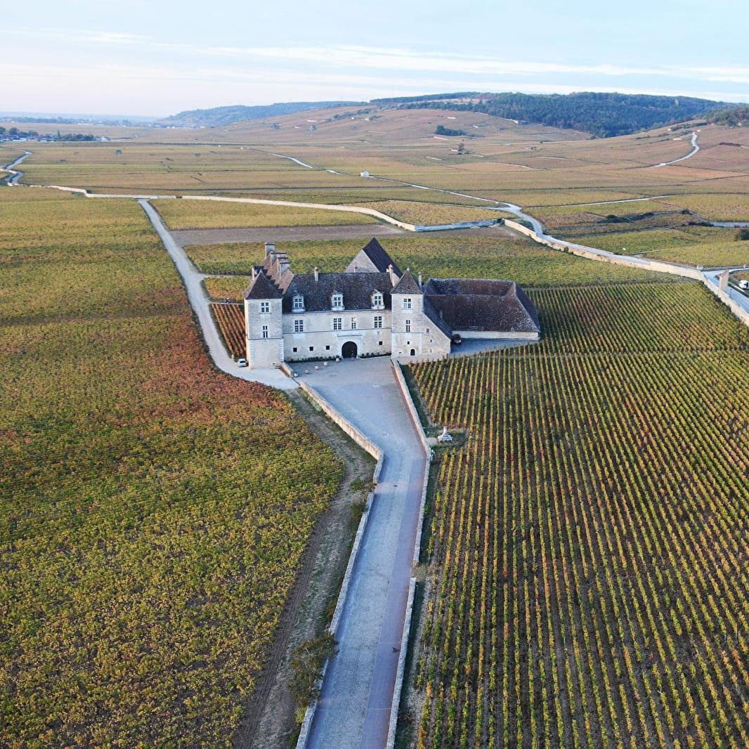 Et si votre prochaine escapade en Bourgogne vous emmenait de Nuits-Saint-Georges au Clos de Vougeot ?
Quelques kilomètres seulement… et beaucoup en commun.
Nuits-Saint-Georges et le Clos de Vougeot partagent cette même histoire du vin, du patrimoine et de l’art de vivre bourguignon.
Posez vos valises au Refuge des Clavendiers , et partez découvrir le Clos de Vougeot, à quelques minutes seulement, en voituren, en solex ou en vélo à travers vignes.
Et justement… les 9, 10 et 11 octobre prochain, le Château Clos de Vougeot accueille le Championnat du Monde de l’Œuf en Meurette. 🍳🍷
Une visite, quelques œufs en meurette… et pourquoi pas l’envie de tenter votre propre recette le soir au Refuge ?
Bonne nouvelle : le Refuge est encore disponible ce week-end là ! c'est une bonne raison de prolonger l’escapade. 😉
#LesClavendiers #RefugeDesClavendiers #NuitsSaintGeorges #ClosDeVougeot #Bourgogne #CoteDeNuits #RouteDesGrandsCrus #OeufEnMeurette #GastronomieBourguignonne #EscapadeEnBourgogne