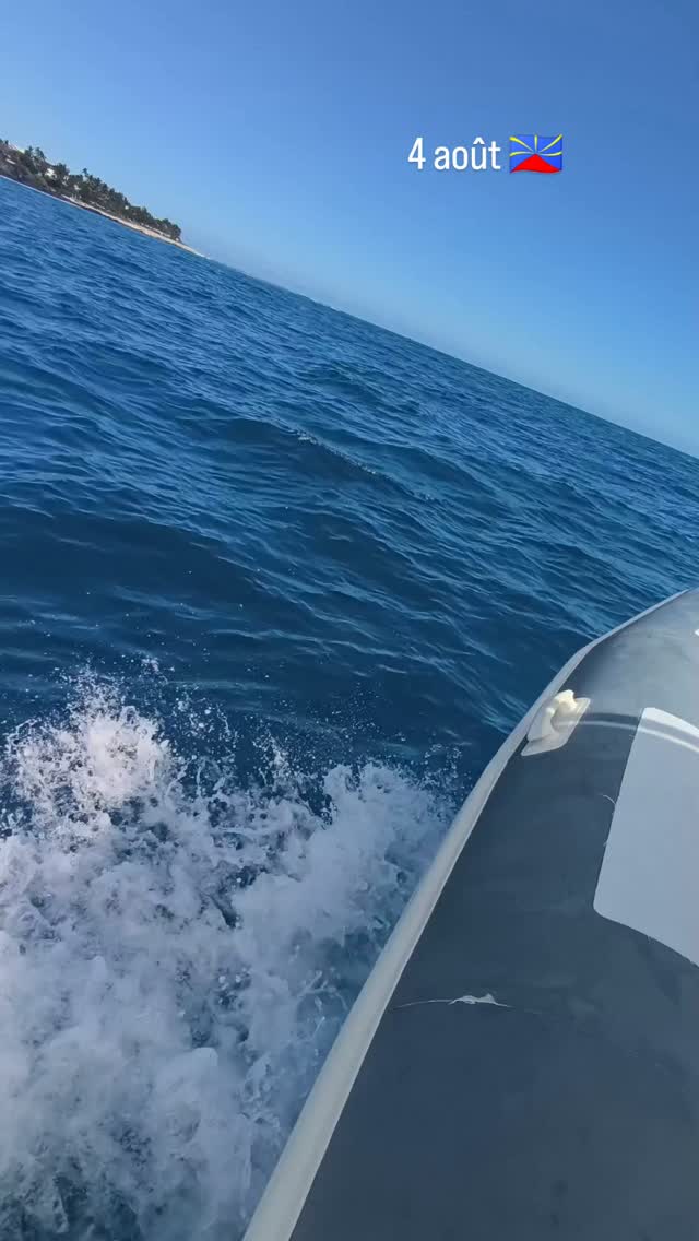 🐬 Magie sous-marine au large !Aujourd'hui, le projet SWIMM et l'équipe Scubananas ont vécu un moment privilégié et hors du temps. Seuls au monde sur l'eau, nous avons croisé la route d'un groupe de grands dauphins (Tursiops truncatus).Dans le respect absolu des règles d'observation passive et d'approche douce qui guident notre démarche SWIMM, la magie a opéré : des mises à l'eau fluides, des interactions d'une pureté incroyable avec ces seigneurs des océans, et pas un seul autre bateau à l'horizon pour troubler cet instant.Quand l'océan offre un tel tête-à-tête en toute intimité, les mots s'effacent pour laisser place à l'émerveillement. 🌊✨📹 Ouvrez grand les yeux et plongez avec nous dans cette immersion exclusive !👇 Participez à la préservation de la mégafaune marine !Rejoignez-nous en mer et contribuez à nos côtés au suivi scientifique participatif.#Scubananas #ProjetSWIMM #TursiopsTruncatus #GrandsDauphins #IleDeLaReunion