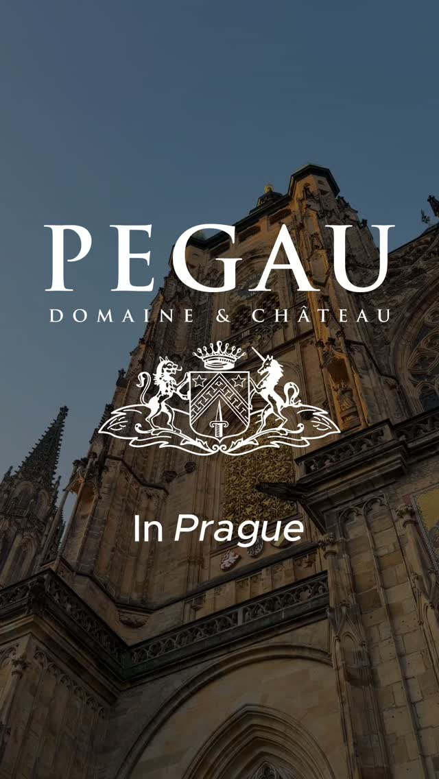 On October 21 at 6:15 p.m., Prague 1. Private dinner at a private venue (reservations required) :domaine@domaine.czislamova@domaine.cz On October 22, the event will take place from 2:00 p.m. to 7:30 p.m. at the following address: Dlouhá 923, Prague 1. First session: 2:00 p.m.–4:00 p.m., free admission.Second session: 5:00 p.m.–7:30 p.m., nominal admission fee. #domainepegau #travel #prague #winelover #chateauneufdupape