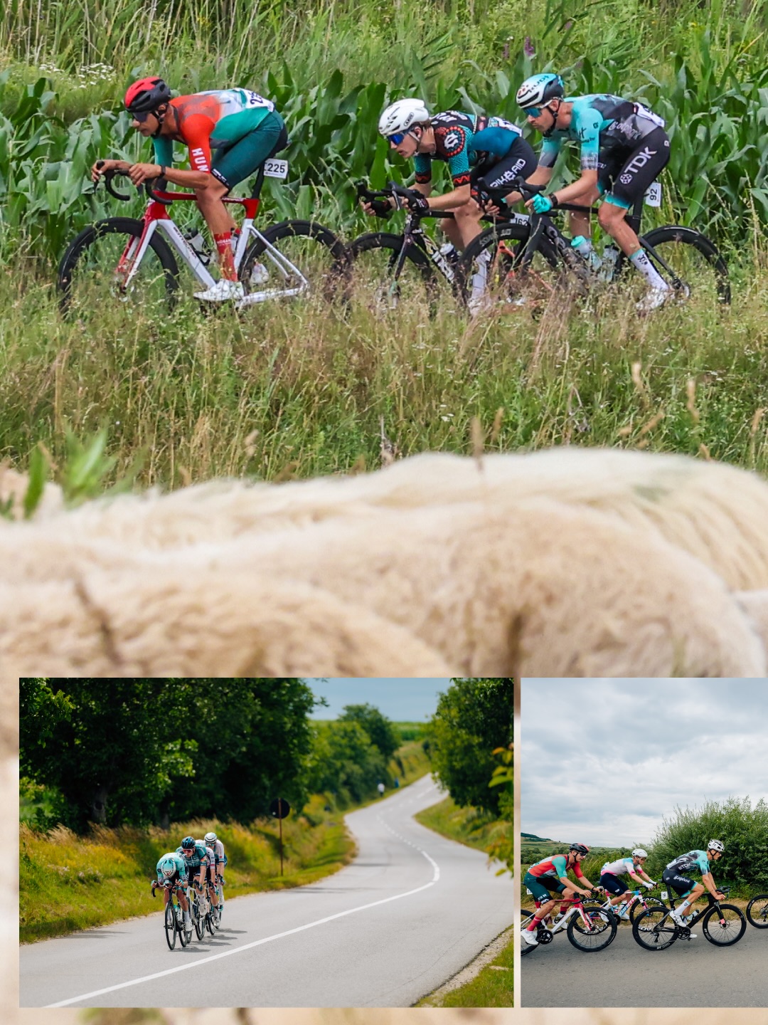 🇷🇴 Márkó 5th! 🫡
That’s all folks, we are closing these four days in style, with Márkó sprinting to a nice fifth place in Sibiu. Tomáš was also unstoppable today again; he spent a good chunk of the day in the break, then he still had the energy to help Márkó in the finale. What a rider! 🥹
Short break now, then it’s V4 time again in Hungary and Slovakia this weekend!
-
Márkónak köszönhetően sikerült szépen zárni a Szebeni Körversenyt: a tegnapi befutón az ötödik helyre sprintelt a hajrában. 👌🏻
Tomáš sem bírt magával, ismét az elmenésben töltötte a szakasz nagy részét, majd a fináléban még maradt ereje arra is, hogy Márkónak segítsen.
Pár nap pihenő, és a magyar, valamint a szlovák V4-gyel folytatjuk! 🫡
📸 @tibihila @little.grimm
#tus_riders #TeamUnitedShipping