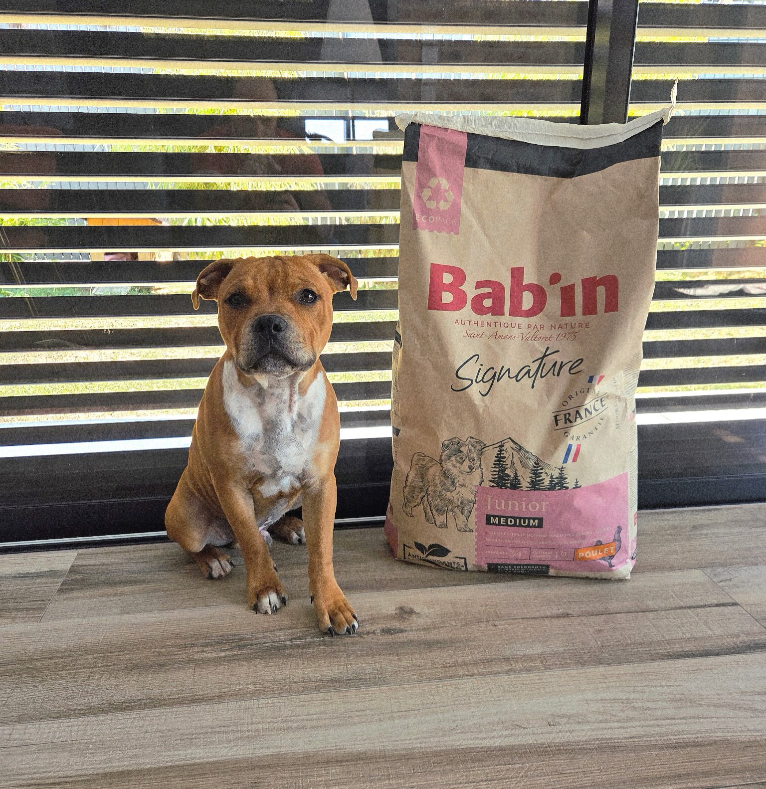 🐶 BAB’IN MEDIUM JUNIOR – Une alimentation pensée pour bien grandir ! 🐾✨ Riche en poulet (34 %) et riz pour apporter les nutriments essentiels à la croissance.
🌿 Prébiotiques FOS & MOS pour favoriser l’équilibre de la flore intestinale et une bonne digestion.
💪 Apport énergétique adapté aux besoins des chiots en pleine croissance.
🦴 Glucosamine & chondroïtine pour accompagner le développement articulaire.
🥣 Taille de croquettes adaptée à la morphologie des chiots de taille moyenne.👉 Une recette complète et équilibrée pour accompagner votre chiot dans ses premiers mois de croissance. ❤️